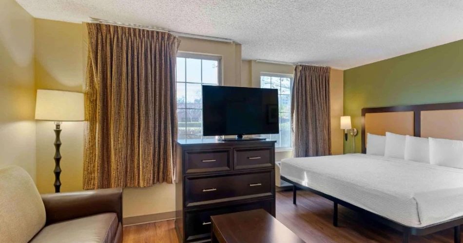 Pet-Friendly Hotels Near Stanford University: Traveling with Your Furry Friend